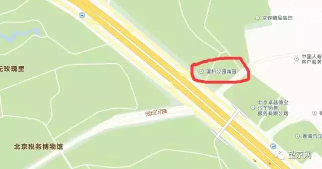 厚积薄发银杏,望京公园和大望京公园哪个好