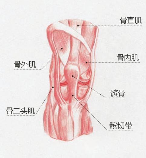 徒步导致膝盖肿痛怎么办,徒步膝盖肿了怎么办