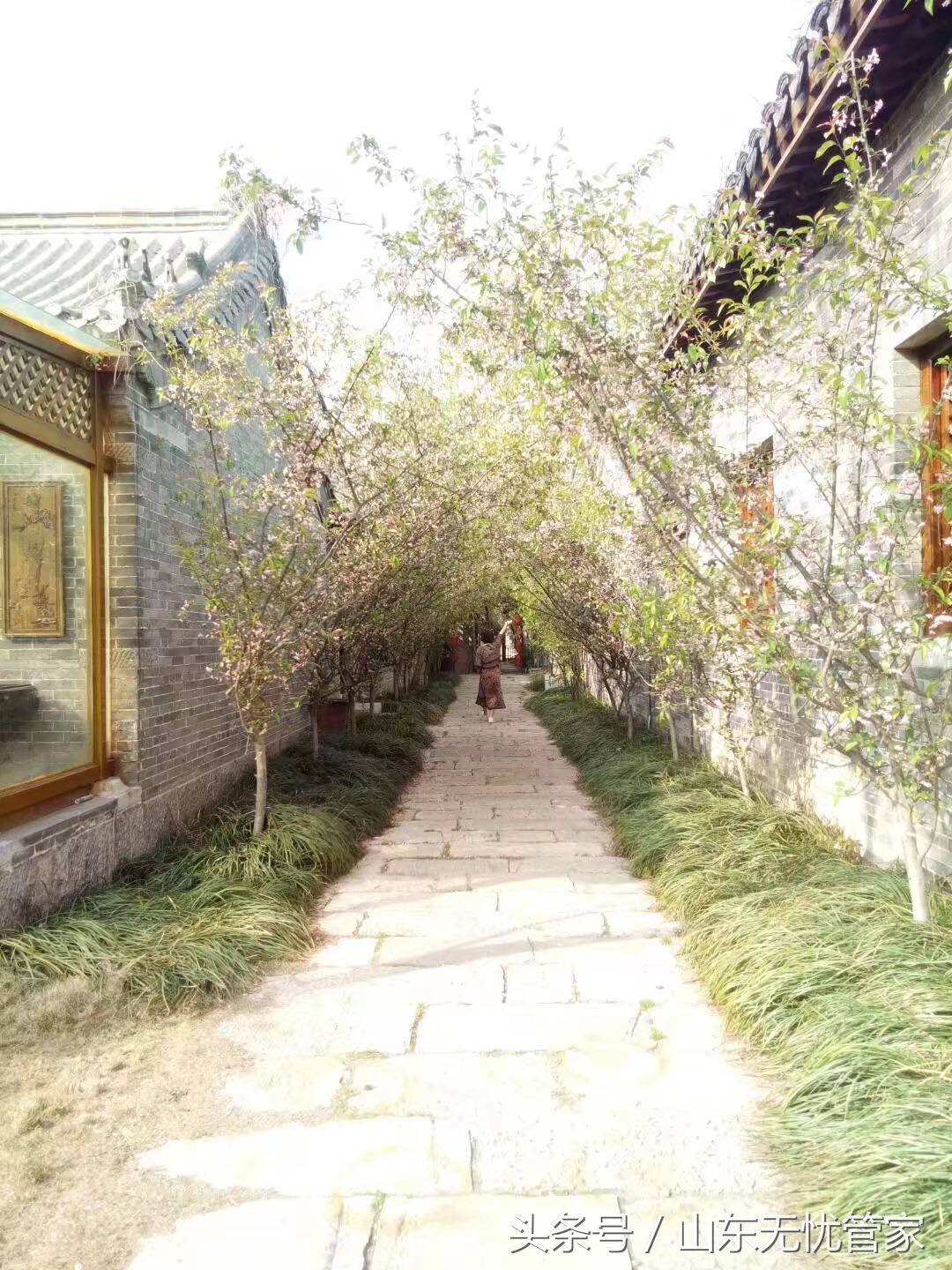 台儿庄旅游攻略推荐,台儿庄寻梦的景点