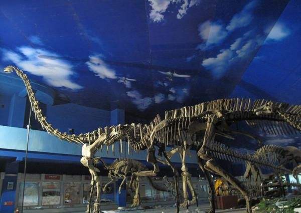 中国有哪些神奇的地方,中国有恐龙的地方