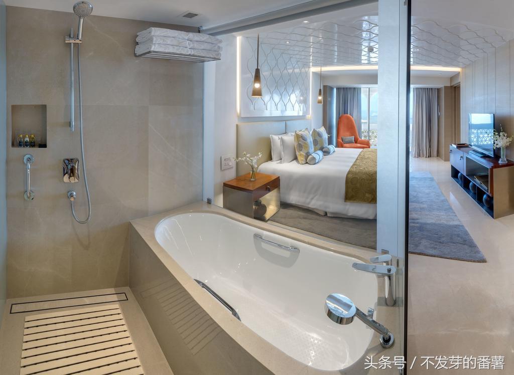 印度皇宫五星级宾馆,印度最豪华的王宫