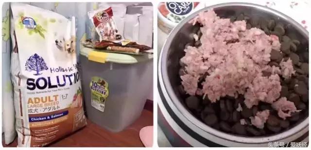 Todayis七夕,这盆狗粮爱妖经替你验过,放心吃吧