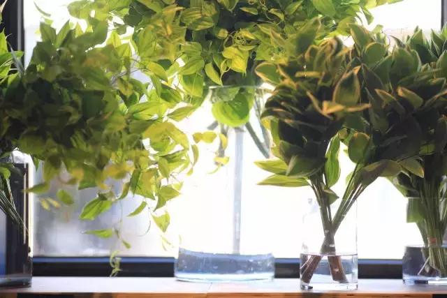 七夕节叫你送花你就去拿吧,微信公众号送花怎么弄