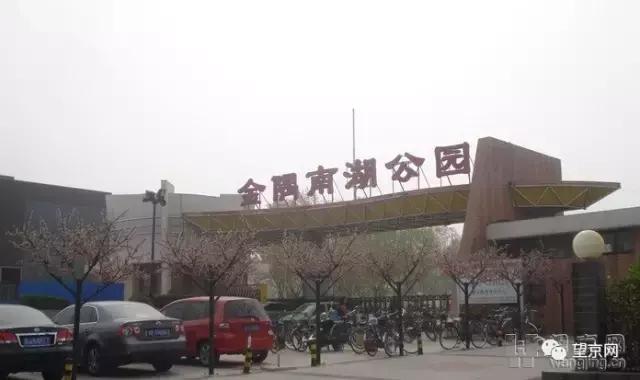厚积薄发银杏,望京公园和大望京公园哪个好