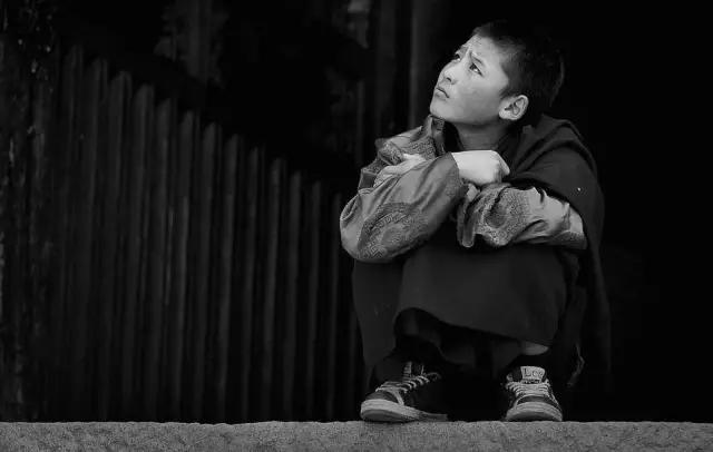 一起求职｜大学生必读出身能占成功多大因素？（知乎点赞过万）