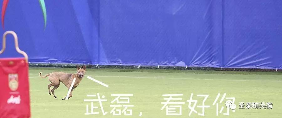 里皮指导恒大,里皮观战斯科拉里