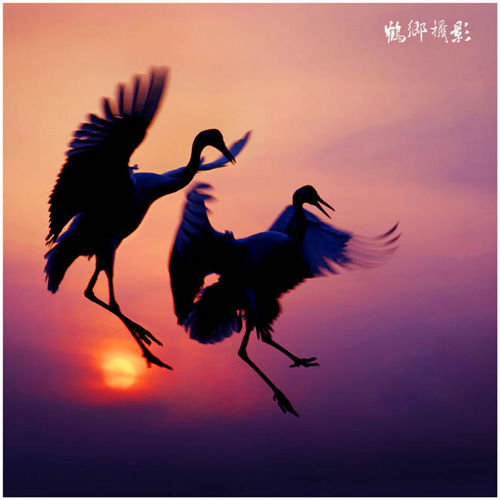 名曲闲云野鹤,古曲闲云孤鹤赏析