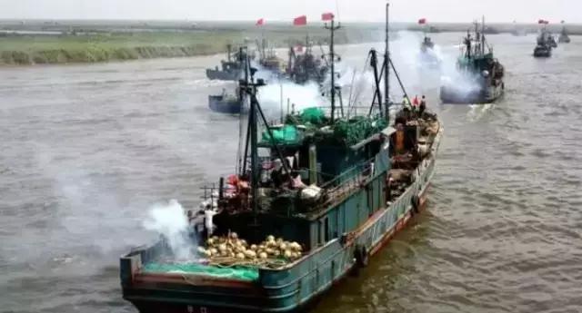 羊口开海！倒计时一天！第一网吃起来！看完哈喇子流一地