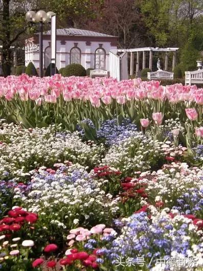 德国法兰克福机场购物攻略,德国法兰克福有几个机场