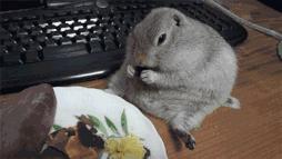 发际线低额头窄小脸适合什么发型,40岁小脸发型女2021流行发型