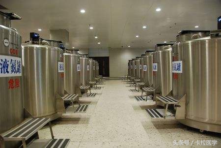 日本一诊所非法使用脐带血狂赚中国人钱，但是什么是脐带血？