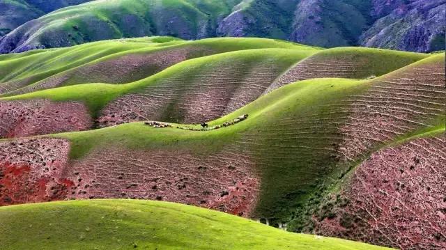 新疆风景看伊犁,新疆伊犁风水