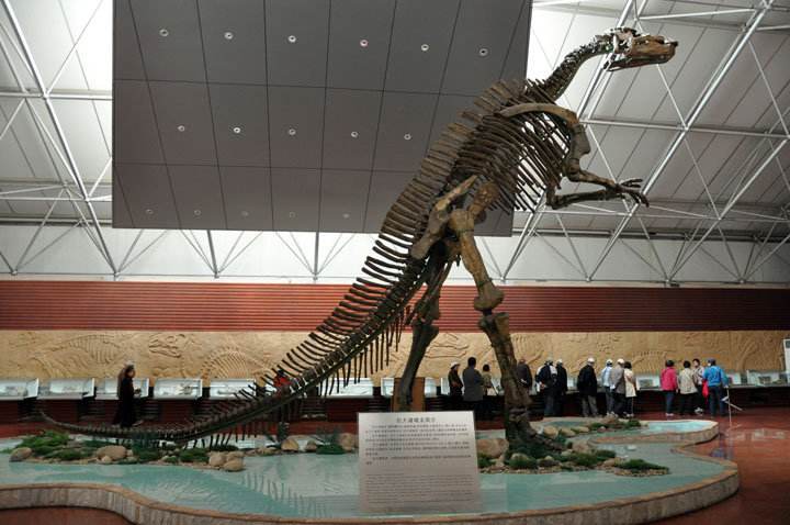 中国有哪些神奇的地方,中国有恐龙的地方