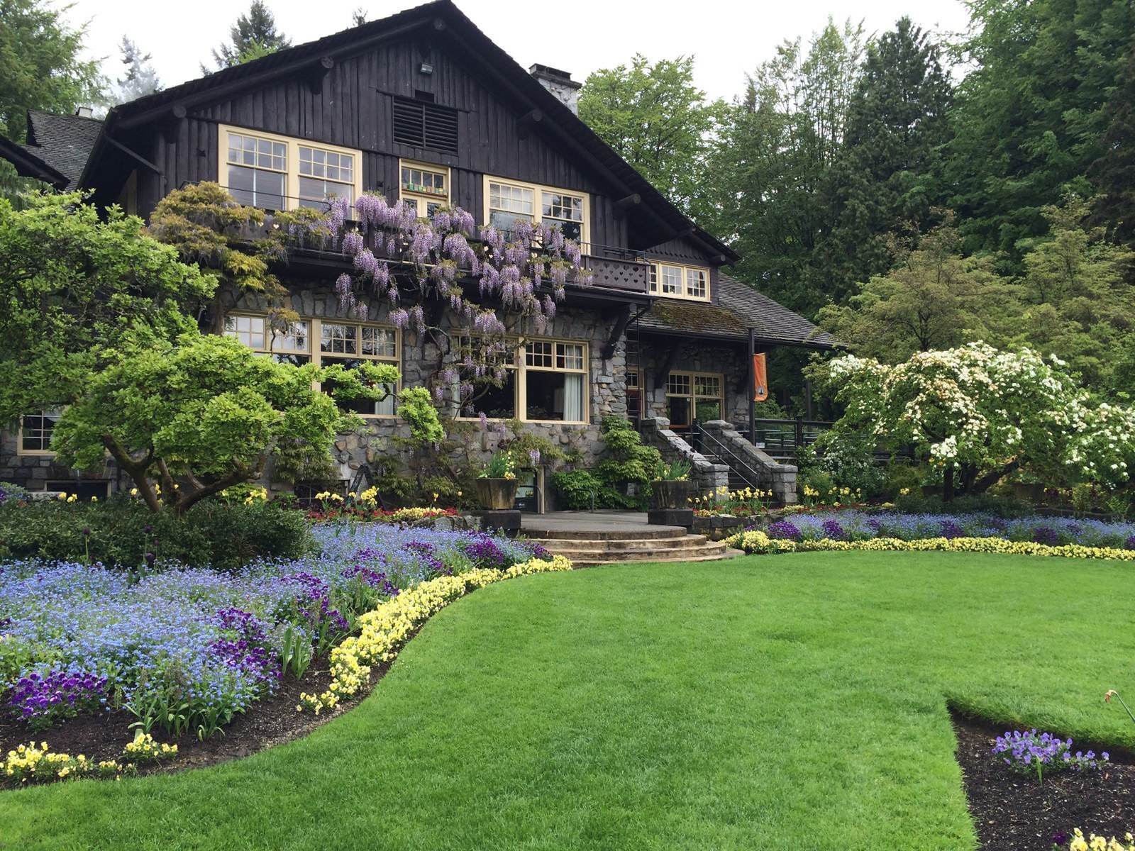 这个「全球宜居城市」已被中国人占领，“不学中文就找不到工作”