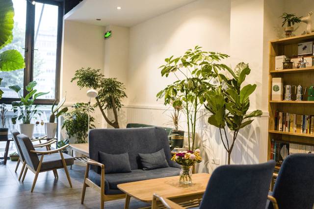 都抱怨斑马君最近没推荐新店，今天打包十家给你够不够？