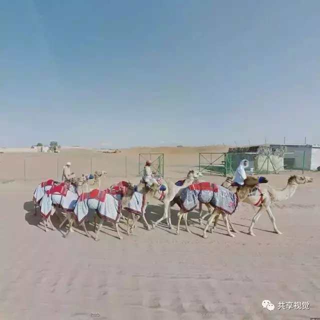 google街景照片怎么拍,谷歌地图摄影作品