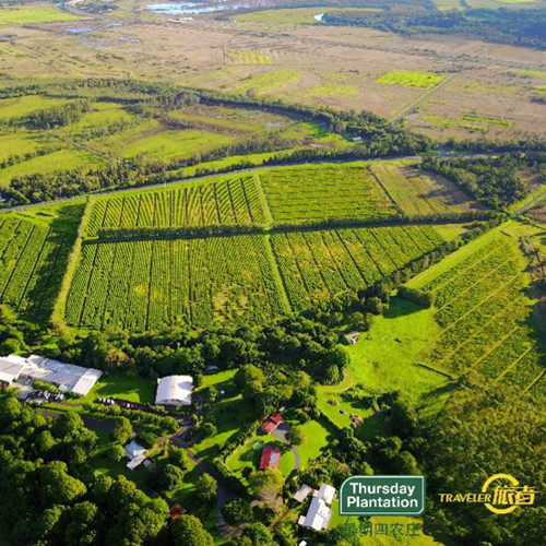 澳洲星期四农庄官网,澳洲星期四农庄茶树祛痘凝胶价格