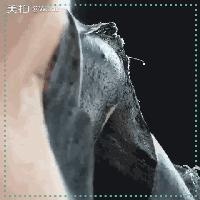 哪些好用到不断回购的面膜,这些面膜让你焕发健康光彩