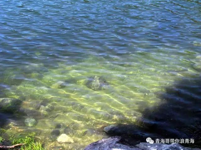 青海孟达天池门票多少,青海孟达天池景区全图