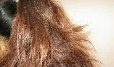 头发毛躁怎么护理头发,头发干怎么护理最好