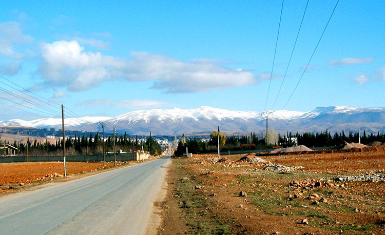 在战火中制作的叙利亚古皂,叙利亚传承千年的古皂真的不错