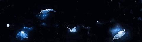 丝巾穿搭时装秀,时装秀展翅高飞丝巾