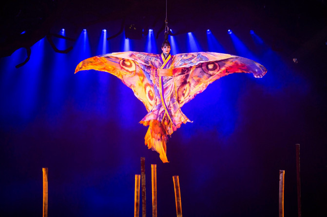 去西双版纳旅游吃住行攻略,去西双版纳旅行自由行攻略