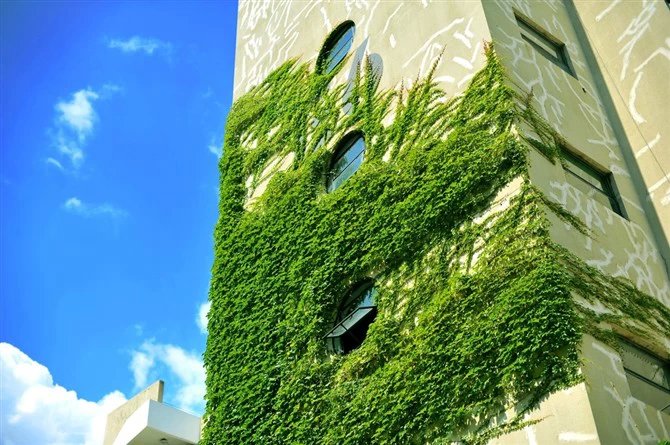 在自己的城市住酒店叫什么,在自己城市里的酒店度假