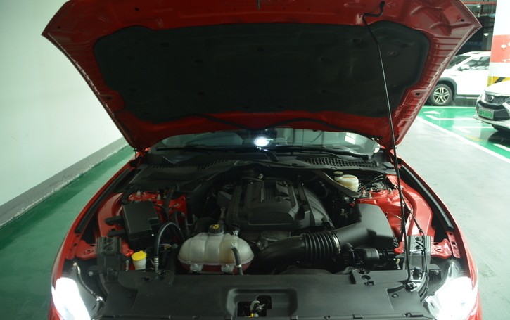 福特野马2.3t2024款开起来舒服吗,dreamcar的车多少钱g63