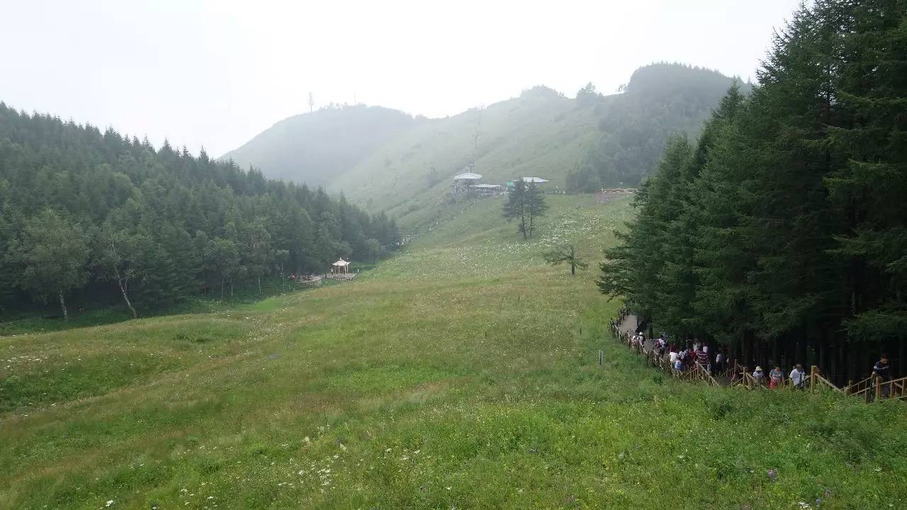 驼梁在石家庄什么地方,石家庄驼梁在石家庄的什么位置