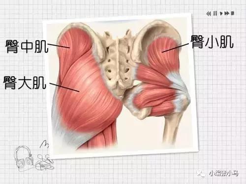 假胯宽严重怎么练最快消除,假胯宽大粗腿怎么瘦