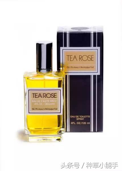 这5款堪比大牌的平价香水,推荐一款非常好用的大牌香水