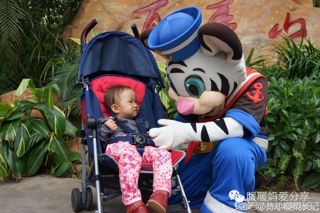 珠海长隆企鹅酒店攻略亲子游,长隆攻略亲子游三天住什么酒店