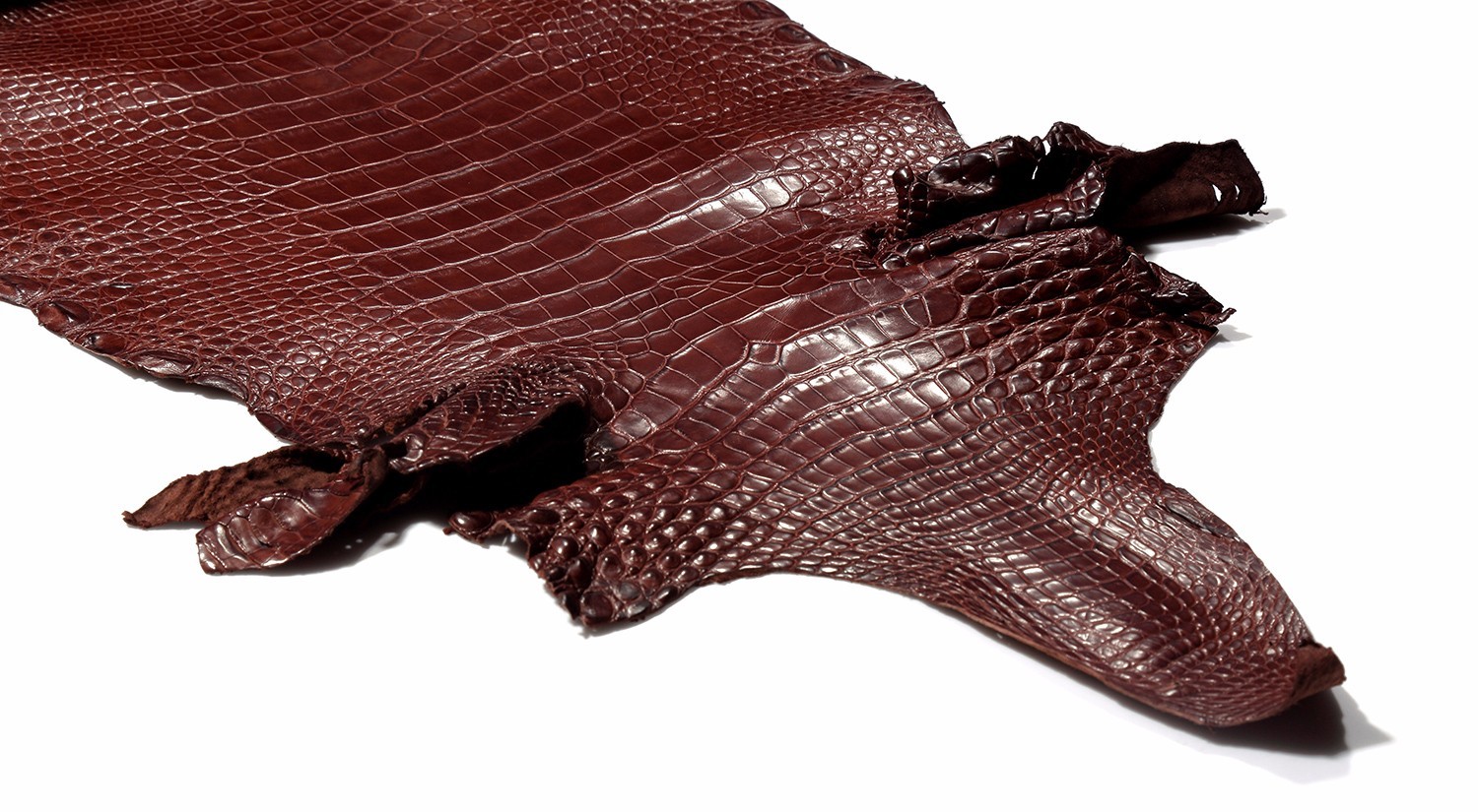 看起来差不多价格相差甚远,各类鳄鱼皮的价位