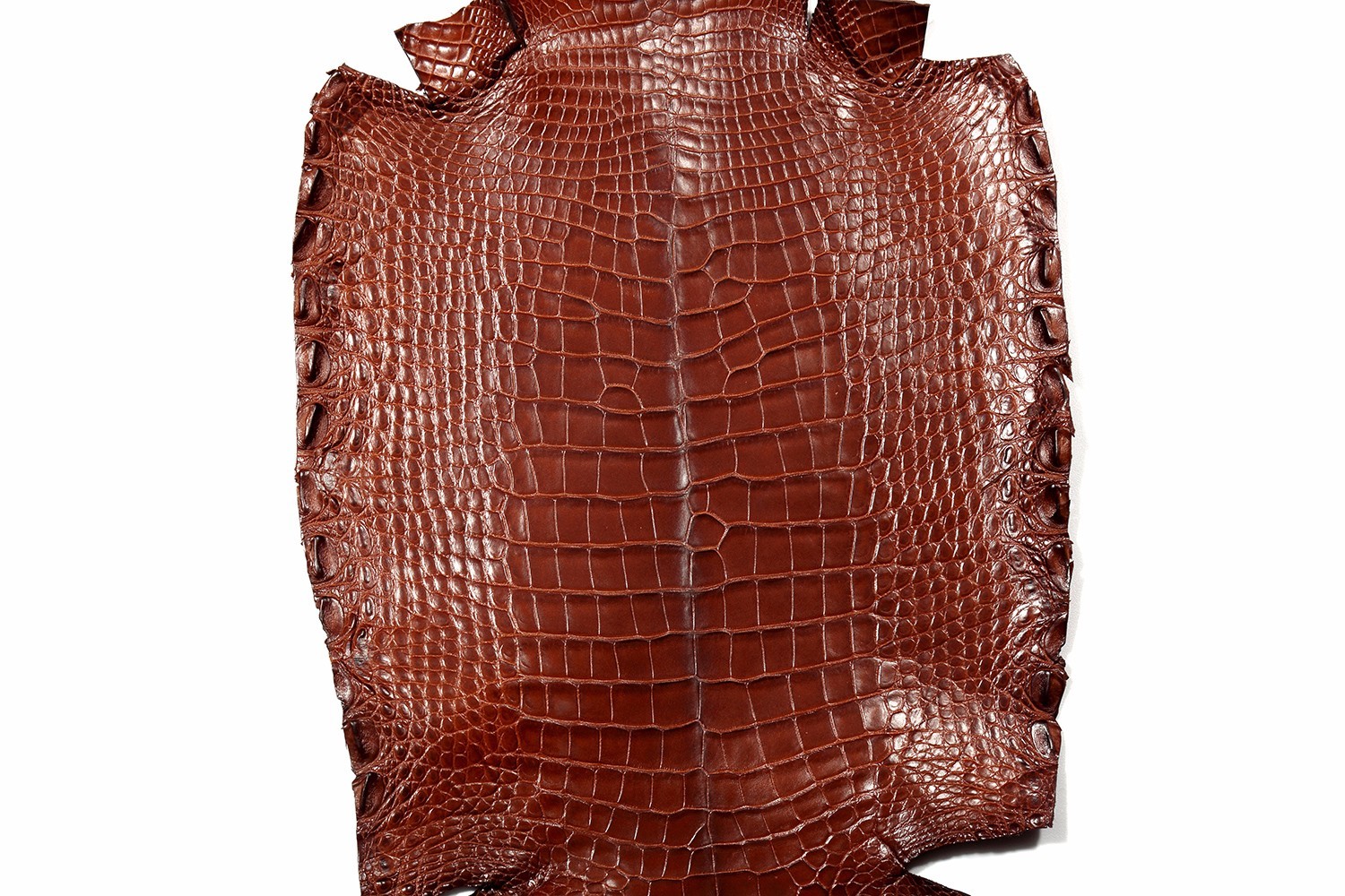 看起来差不多价格相差甚远,各类鳄鱼皮的价位