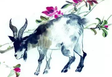 从心理学解读十二生肖婚配,最完整的12生肖婚配表超级准