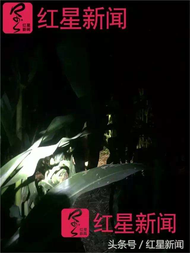 河南捉蛐蛐一个能卖几万,河南哪个地方蛐蛐好抓点