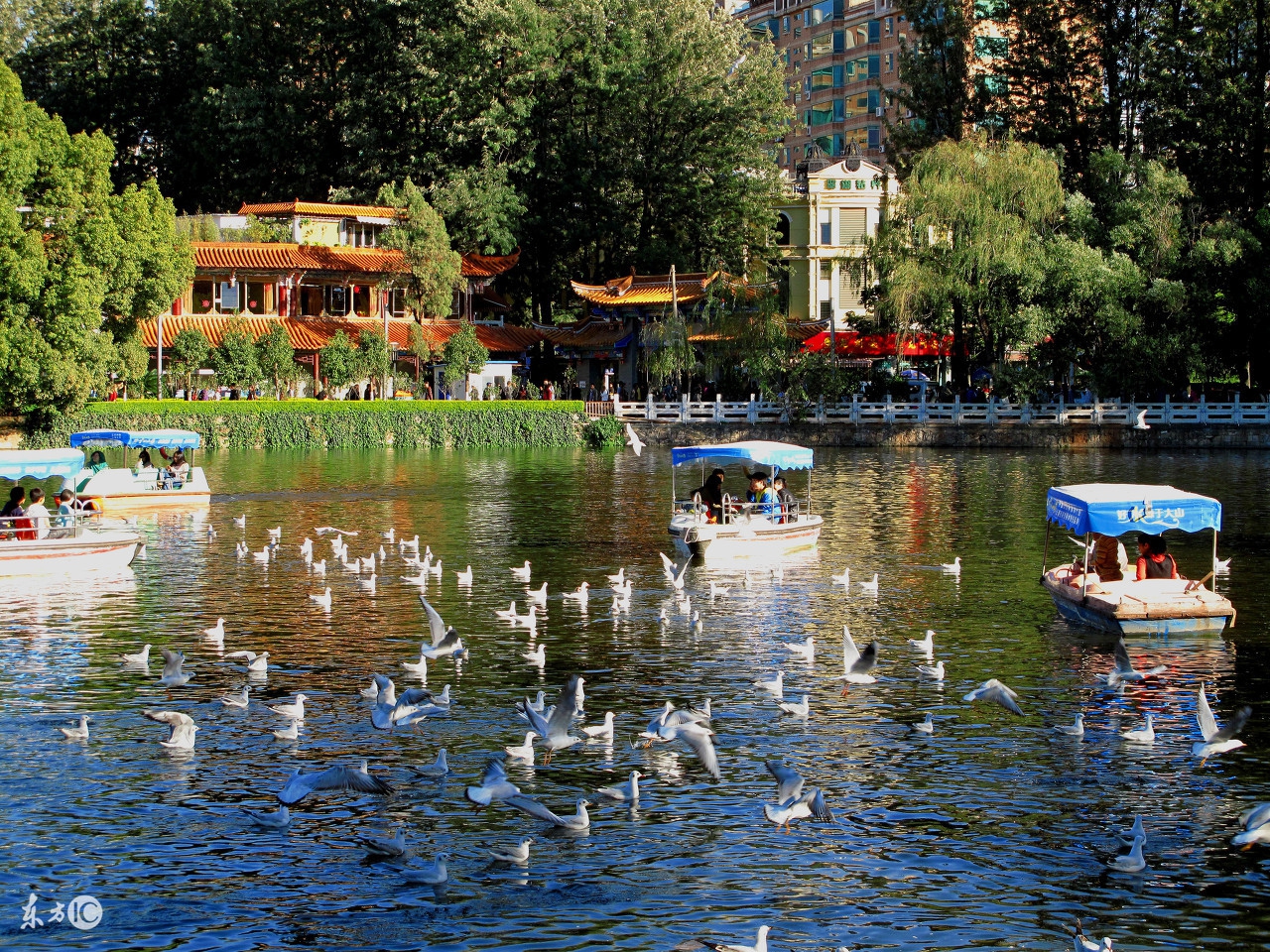 昆明出发贵州旅游攻略自助游,昆明拼车自助游攻略