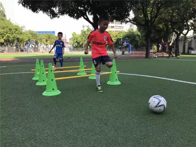 城事｜别笑！真人真事！番禺这群学生的体育课是语文老师教的！