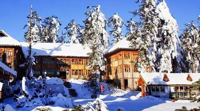 带你体验不一样的异国风情柬埔寨,去柬埔寨探寻神秘而又独特的美