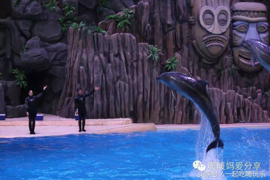 深圳长隆海洋王国攻略,珠海长隆国际海洋王国游玩攻略