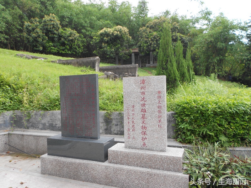 「沈半县」是如何在陈林半天下氛围中脱颖而出的