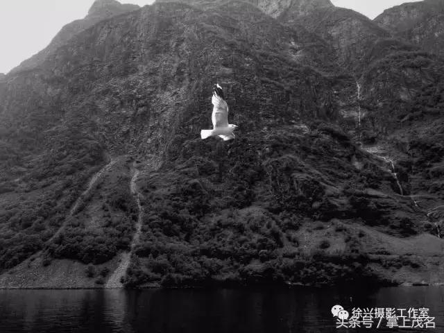 手机摄影田园生活图片,手机摄影主题