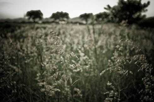 华为徕卡镜头和普通镜头的区别,华为p40pro镜头是徕卡吗