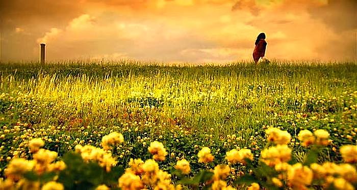 金酒最经典喝法,金酒黑历史大全