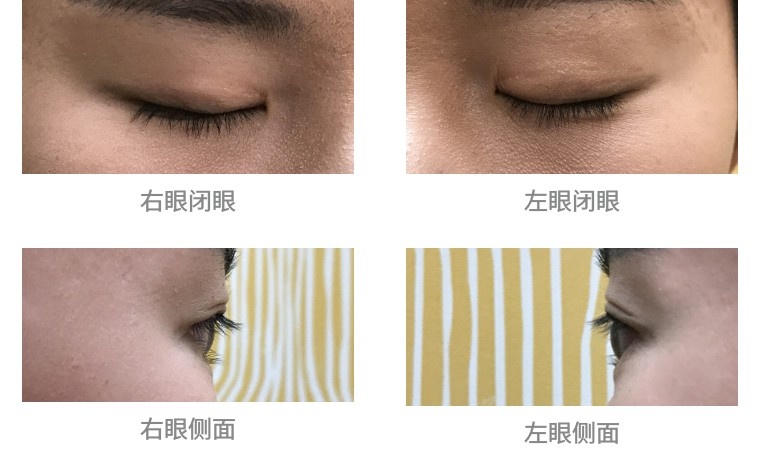 完美日记睫毛膏排行榜评测,丽兰妃睫毛膏评测