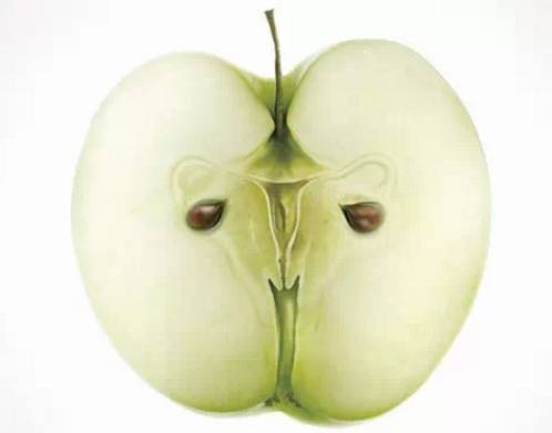 医生总结的十个健康忠告,女性健康六大忠告内容有哪些