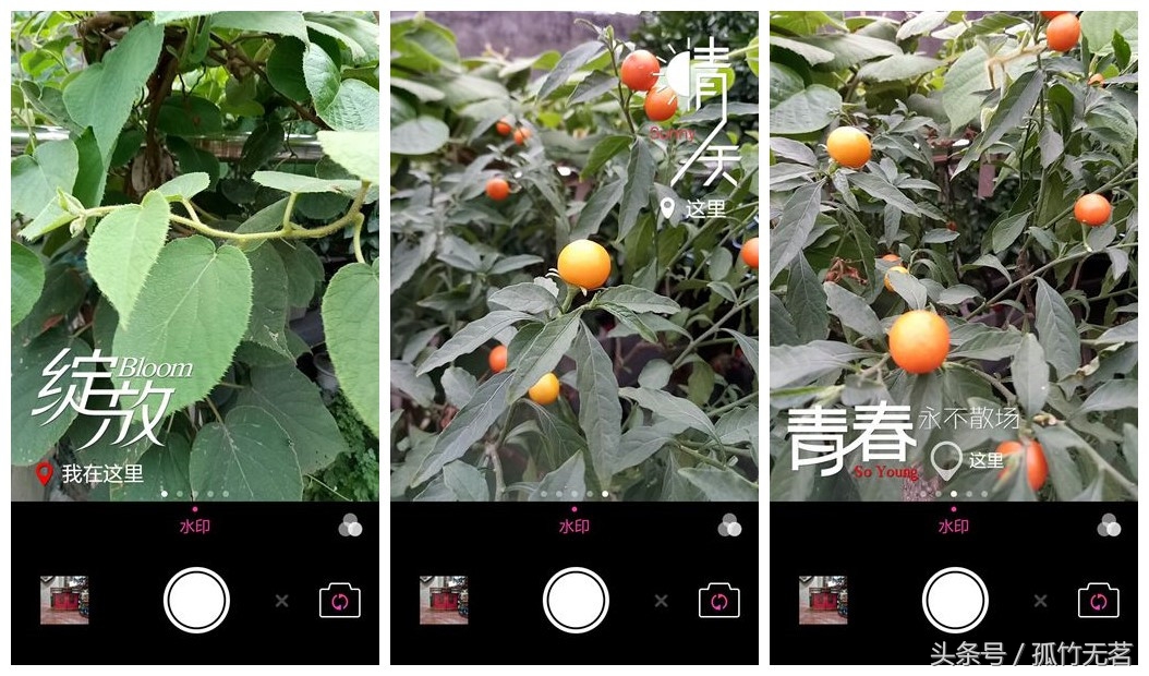 鏈靛敮l520鍙傛暟,鏈靛敮l520鎵嬫満璇勬祴