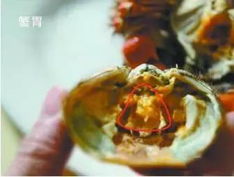 烟台人炫富方式,烟台开海炫富是真的吗