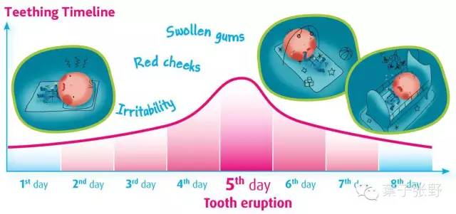 宝宝长牙妈妈牙也会不舒服吗,宝宝长牙妈妈牙齿痛